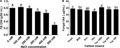 Salt Stress Alleviation in Triticum aestivum Through Primary and Secondary Metabolites Modulation by Aspergillus terreus BTK-1